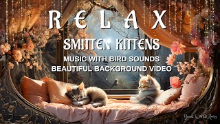 Smitten Kittens - Relax To Music  &  Birds Sounds