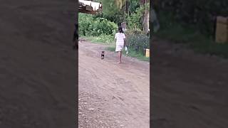 Girl & Puppy