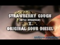 STRAWBERRY SOUR DIESEL Grey Area Coffeeshop (Devils Harvest) - Amsterdam Weed Review HD