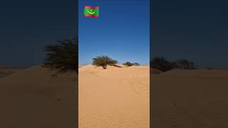 Would You Life Here? Africa, Mauritania.