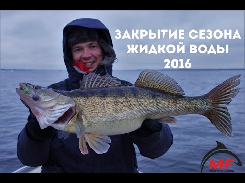 андрей рыбалка найти андрей рыбалка найти