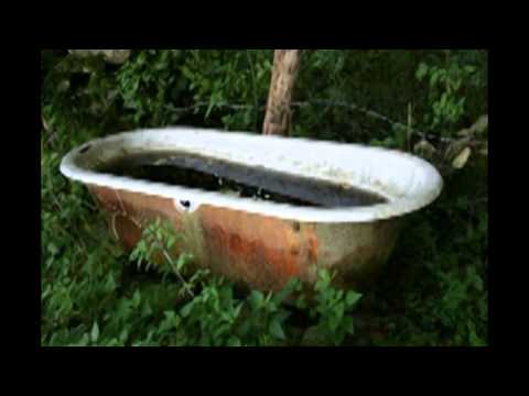 Singing in the bath tub .Played by Willy Wilsons Twangsters