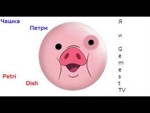 Модный макияж до карих глаз Модный макияж до карих глаз