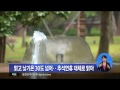 2013.09. 17 (화) 0930 생활뉴스 대구경북