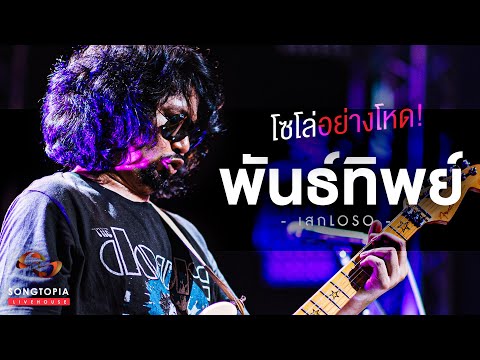 พันธ์ทิพย์ เสก Loso | โซโล่อย่างโหด! | Songtopia Livehouse