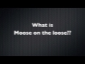 Watch Postcards from Buster - Moose on the Loose: Jackson Hole, Wyoming Full Movies Streaming