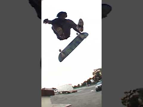 Jake Lewis 1999 Classic Skateboarding Shorts