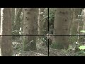 airsoft sniping