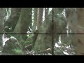 airsoft sniping