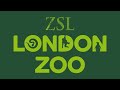 London Zoo - Reptile House