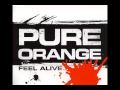 Pure Orange featuring Shane Nolan - Feel Alive (Original Mix)