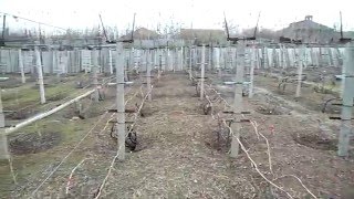 Смотреть фильмы комедии 2016 года в хорошем качестве hd 720