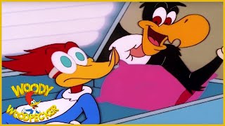 Watch Cartoons Hollywood video