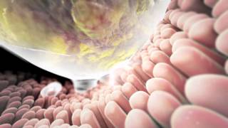 I Curso Latinoaméricano De Metodología De La Investigación Felsocem