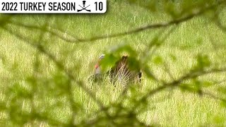Sticking With the Field Birds All Day - Will They Slip Up?