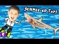 What's in a GREAT WHITE SHARK! HobbyScience Lab and Shark Fac...