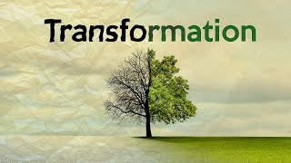 WK 5 | Transformation | Round-table