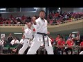 思わず泣けてくる空手の世界大会、Karate-Do World Chamionship 2014(JKA)