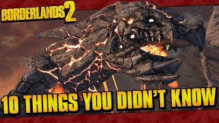 10 SECRET Things You Didn't Know About In Borderlands 2!