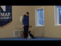 Jett (Border Collie) Dog Training Video