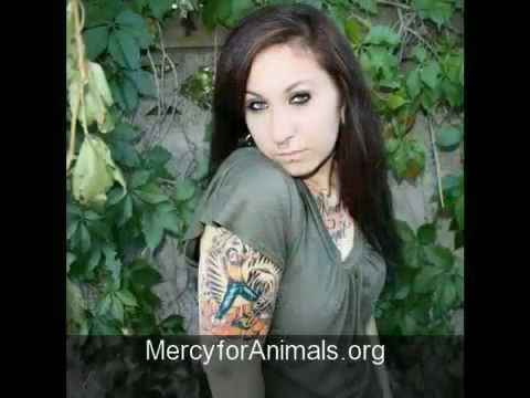 Heal Hurt Ideas Miami Ink TATTOOS Body Art Piercings VEGAN Animals Rock