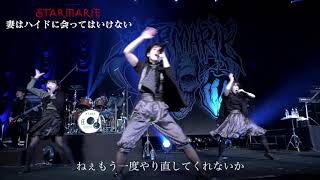 STARMARIE / ??????????????