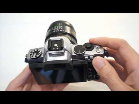 Olympus forex review