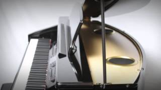 Suzuki MDG-300 Micro Grand Digital Piano