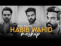Habib Wahid Mashup | হাবিব ওয়াহিদ | Emotional Chillout | BISU REMIND