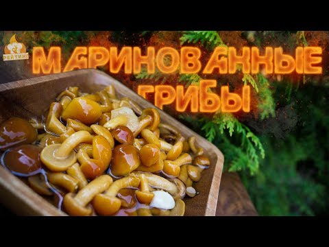 Рейтинг: Маринованные грибы (Опята) Рейтинг: Маринованные грибы (Опята)