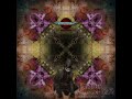 17 Dark Cygnus Death Valley 154bpm Darkpsy