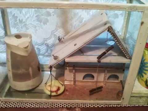 Домики для хомячка своими руками 58