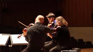 Quatuor Cobalt - Demo