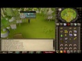 Runescape 2007 - Thoughts on Becoming an Initiate Pure! (Temporarily)