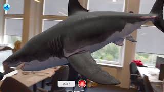 Tumnagel