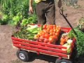 garden video