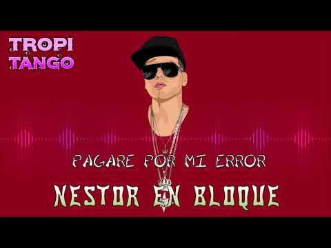 Pagaré Por Mi Error Video