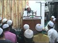 wahabi