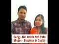 Latest santhali song...Nel chata nel pata || Stephan tudu & Guddy Hembrom