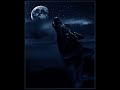 Holymen - Black Moon