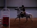 2011 Pony Club Nationals showjumping Juniors AM5 klip izle