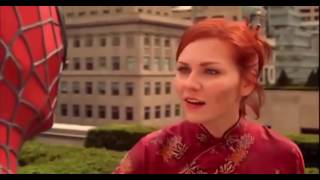 Spiderman-Who Are You? Original