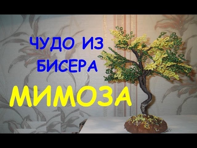 Бисероплетение мимоза для начинающих Бисероплетение мимоза для начинающих