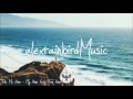 Indie/Rock/Alternative Compilation - June 2017 (1½-Hour Playlist)