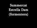 Summercat -Anuncio Estrella Dam 2009 (formentera)