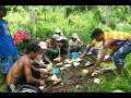 fiesta brgay taylor &( pamarigo pinipisakan falls las navas n. samar)