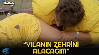 Haram Türk Filmi | Hülya'yı Yılan Isırıyor!