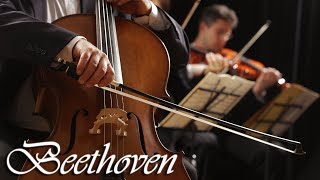 Beethoven Classical Music for Studying, Concentration, Relaxation | Study Music | Instrumental Music