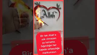 Bir Tek Allaha Yük Olmazsın Şu Kainatta. Sığındığın