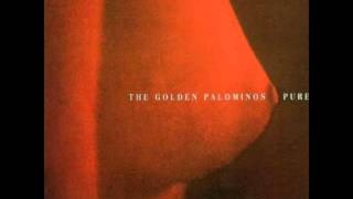 Watch Golden Palominos Anything video